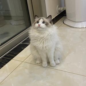 时代新观 头像