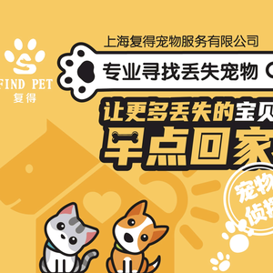 复得寻猫寻狗寻宠团队 头像