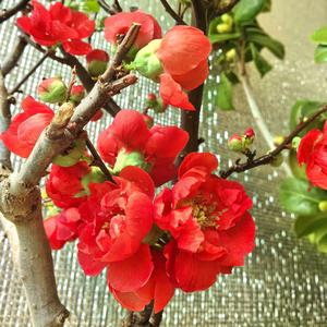 牵着文字去旅行 头像