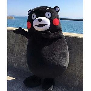 正直黑白熊 头像