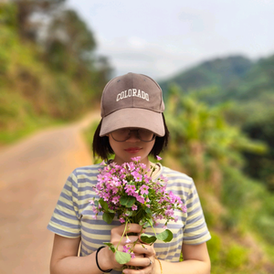 守着“小城”过家家 头像