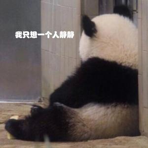 @1314520活在当下 头像