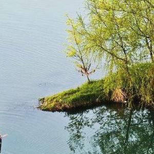 易缘阁wang 头像