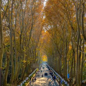 山海ShanHai 头像