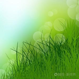 qingqing草 头像