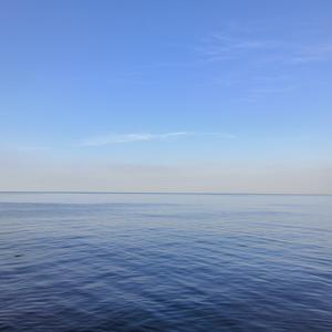 环视信阳 头像