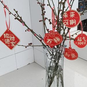吉祥宠物 头像