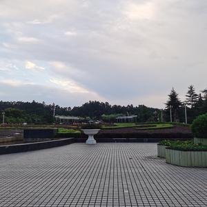 灿烂西柚Msh 头像