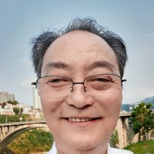 丛林一棵树