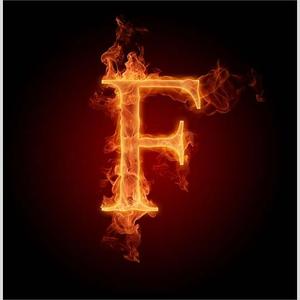 Flame光学仿真 头像