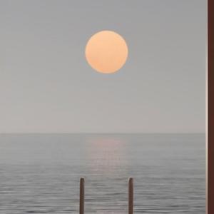 宜人彼岸的小赵 头像