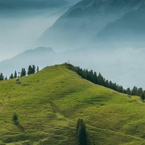 乐天知命故不忧 头像