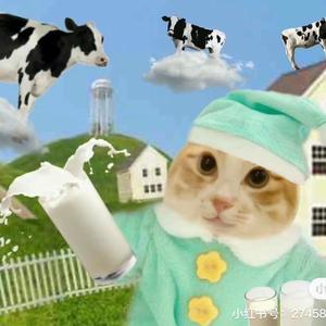 宇宙无敌猫猫酱 头像