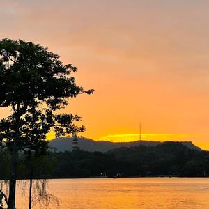 放眼看世界 头像