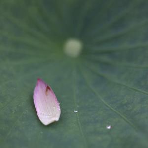石头分享教育 头像