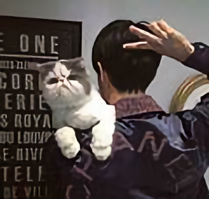 唐唐音乐汇TT 头像