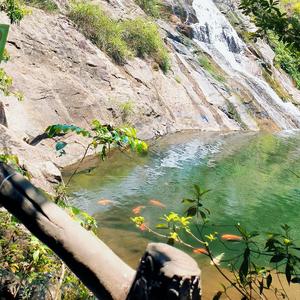 小林和车的故事 头像