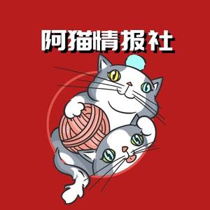 阿猫情报社头像