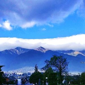 自在北风扬 头像