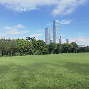 潇潇雨中客 头像