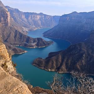 大巧无锋芒 头像