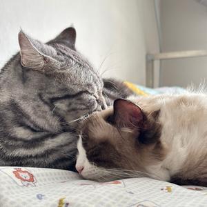 INFJ不打烊 头像