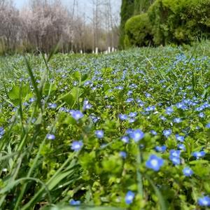 做一个自由自在的鱼 头像