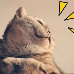 和猫妹学Python 头像