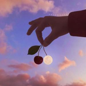 晓星也可以呀 头像