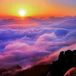 智慧海燕5516 头像