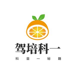 驾考教练员学车 头像