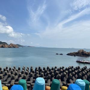 小雅的成长笔记 头像