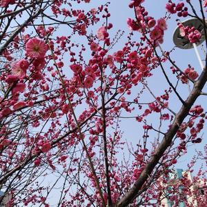 白丁说故事 头像