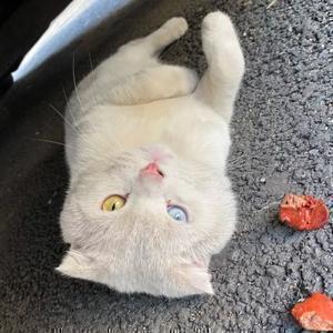 还有什么用户名是不存 头像