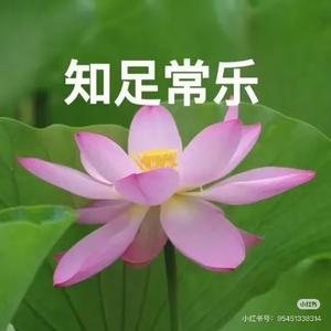 愉悦放风者 头像