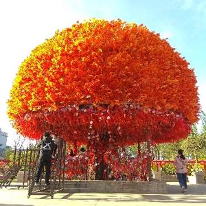 小V夫妻爱生活 头像