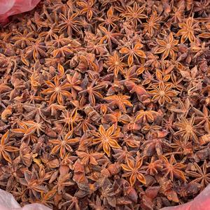 魔味食品～花厨 头像