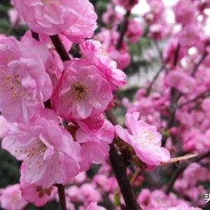 亲切水滴fh