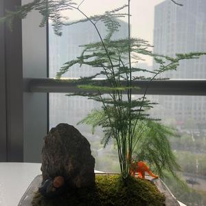 儒雅建筑之家 头像