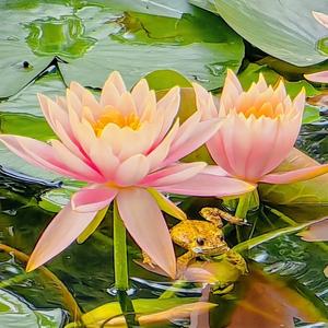 小鑫好持家 头像