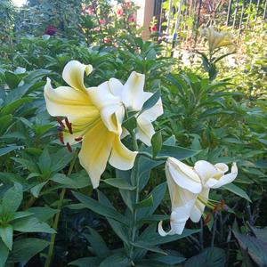 水公主6Y7U 头像