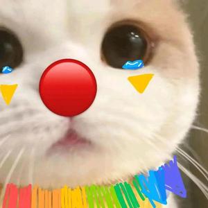 六斤核桃桃 头像