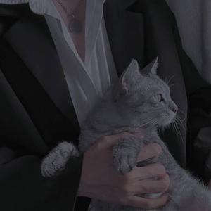 学心理的木先生 头像