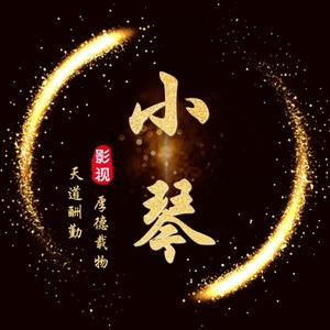 小琴影视010头像