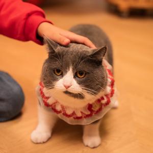 爱干布的jo哥 头像