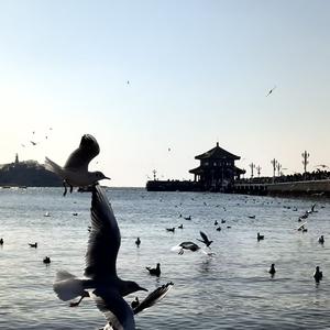 豆包爱旅行 头像
