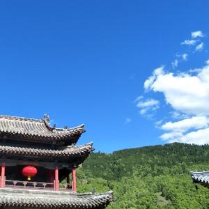 悠闲的小人物