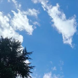 静静mak0 头像