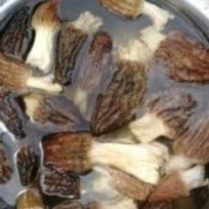 禅心善行中国超声波 头像