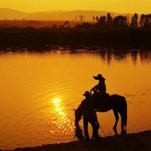 与自己和谐 头像